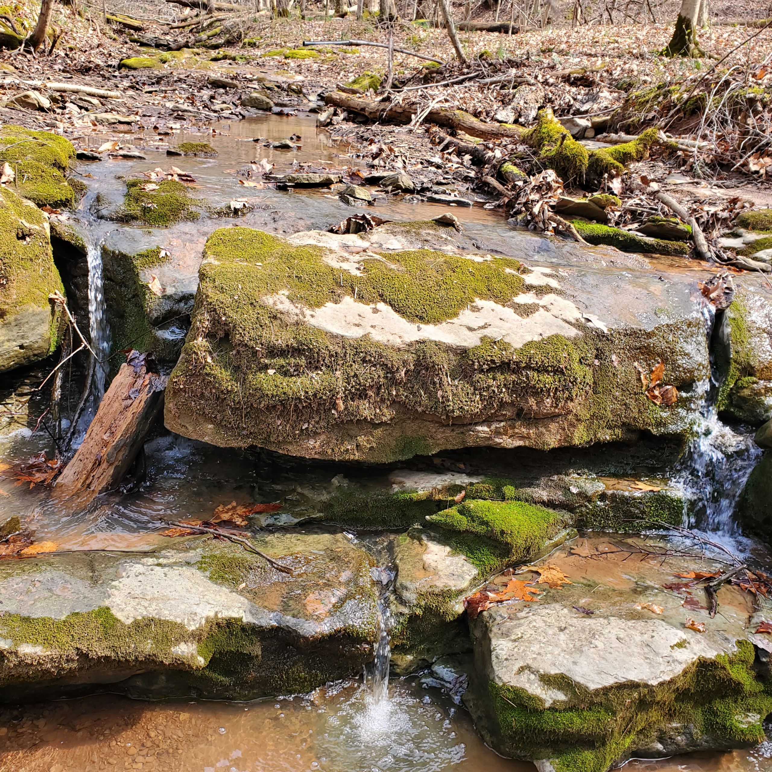 Large moss-covered stones in a creek with three small waterfalls running over them.